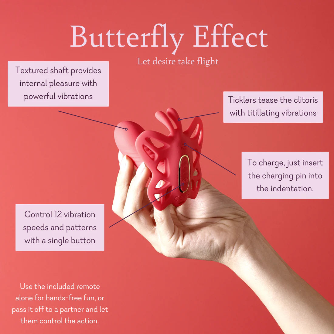 Butterfly effect